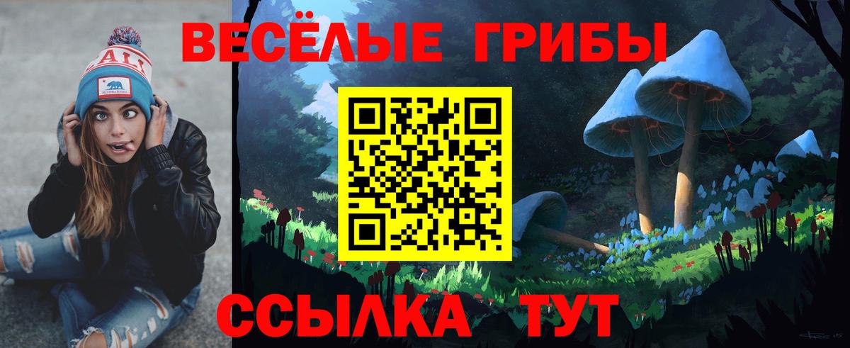Псилоцибиновые грибы ЛСД  Вход с VPN  Кызыл  Псилоцибиновые грибы прущие грибы 